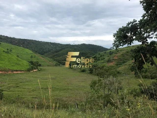 Imagem 6: Belíssima Fazenda de 58 Alqueires, À Venda em Nova Módica/Mg, Aceita Permuta!