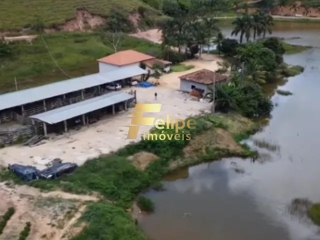 Imagem: Excelente Fazenda para a Plantação de