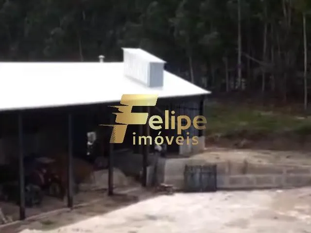 Imagem 4: Excelente Fazenda para a Plantação de Café e Criação de Gado, À Venda em Ipanema/Mg
