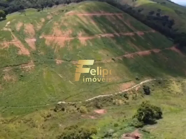 Imagem 9: Excelente Fazenda para a Plantação de Café e Criação de Gado, À Venda em Ipanema/Mg