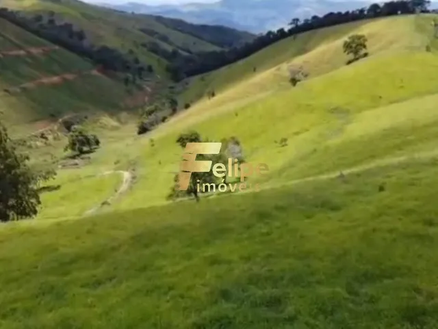 Imagem 6: Excelente Fazenda para a Plantação de Café e Criação de Gado, À Venda em Ipanema/Mg