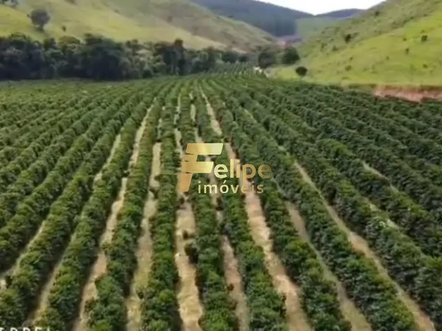 Imagem 11: Excelente Fazenda para a Plantação de Café e Criação de Gado, À Venda em Ipanema/Mg