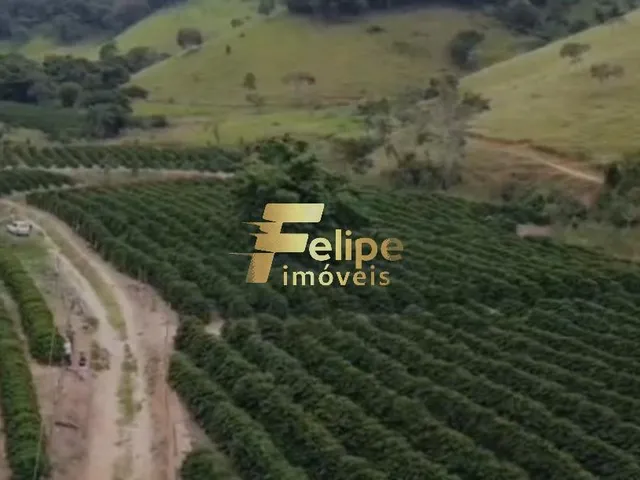 Imagem 14: Excelente Fazenda para a Plantação de Café e Criação de Gado, À Venda em Ipanema/Mg