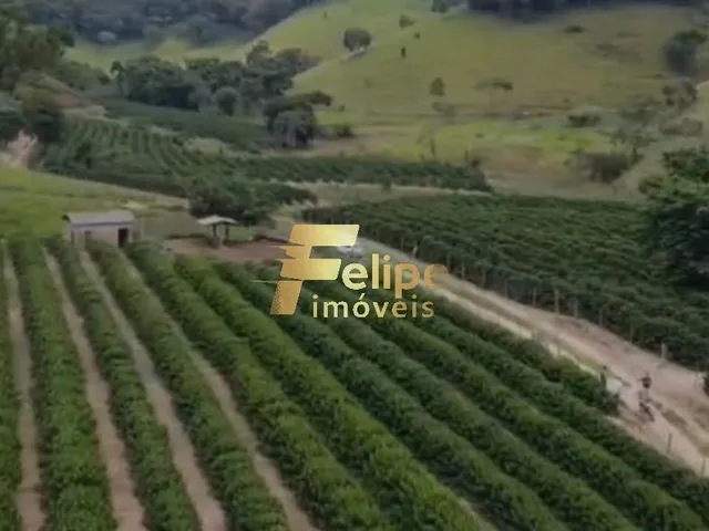Imagem 5: Excelente Fazenda para a Plantação de Café e Criação de Gado, À Venda em Ipanema/Mg
