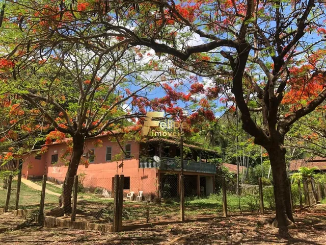 Imagem 2: Belíssima Fazenda com 4.600 Hectare, À Venda na Região de Rio Casca/Mg