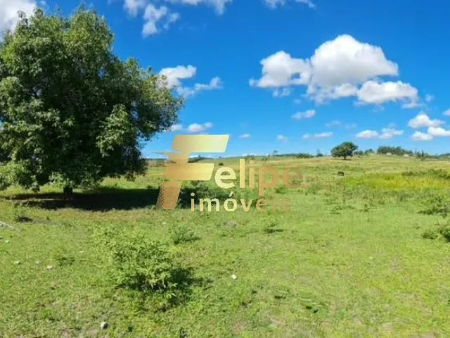 Imagem 5: Excelente Fazenda com 52 Alqueires, À Venda na Localidade de Banqueiros, Araruama/Rj