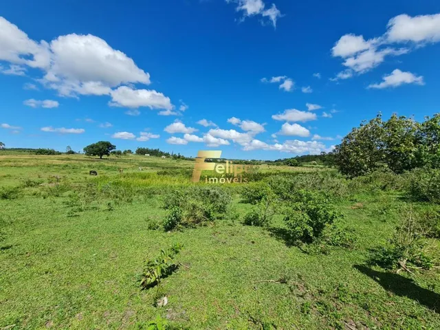 Imagem 15: Excelente Fazenda com 52 Alqueires, À Venda na Localidade de Banqueiros, Araruama/Rj