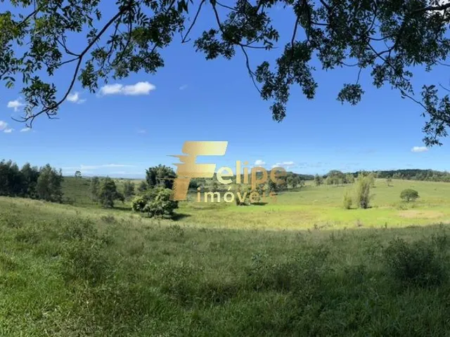 Imagem 3: Excelente Fazenda com 52 Alqueires, À Venda na Localidade de Banqueiros, Araruama/Rj