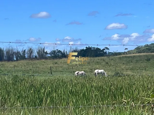 Imagem 16: Excelente Fazenda com 52 Alqueires, À Venda na Localidade de Banqueiros, Araruama/Rj