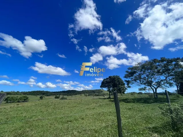 Imagem 8: Excelente Fazenda com 52 Alqueires, À Venda na Localidade de Banqueiros, Araruama/Rj