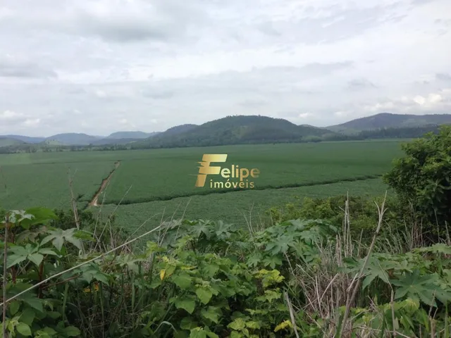 Imagem 9: Excelente Fazenda com 4.600 Hectares, À Venda em Nanuque/Mg