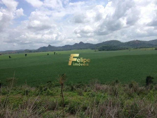 Imagem 15: Excelente Fazenda com 4.600 Hectares, À Venda em Nanuque/Mg