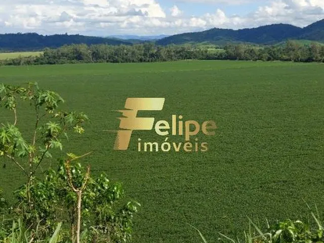 Imagem 2: Excelente Fazenda com 4.600 Hectares, À Venda em Nanuque/Mg