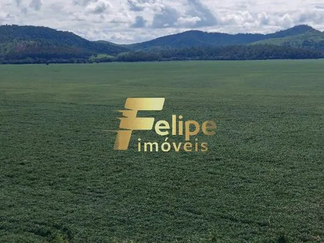 Imagem 8: Excelente Fazenda com 4.600 Hectares, À Venda em Nanuque/Mg