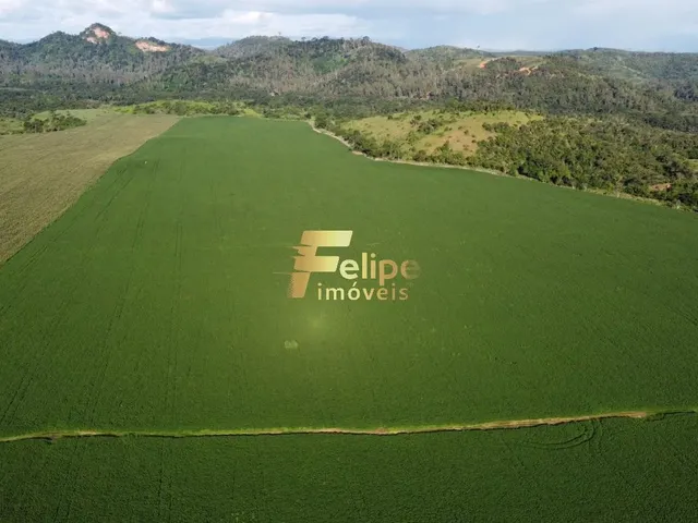 Imagem 16: Excelente Fazenda com 4.600 Hectares, À Venda em Nanuque/Mg