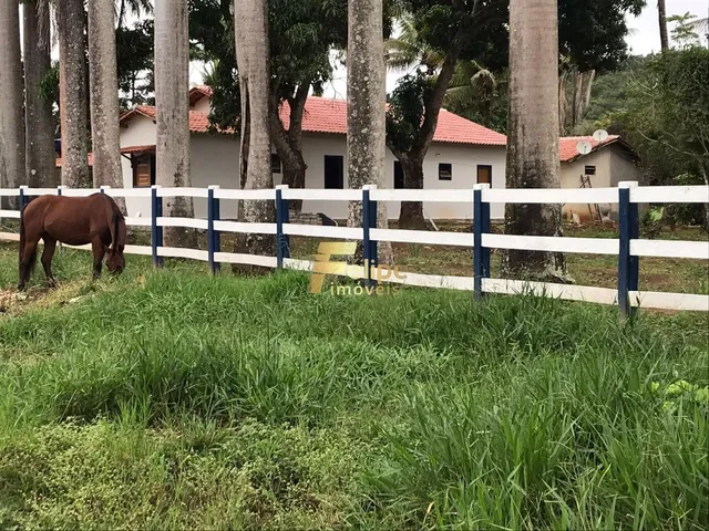 Imagem: Excelente Fazenda com 272 Alqueires, À