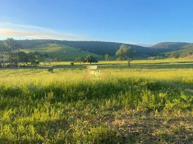 Imagem 8: Excelente Fazenda com 272 Alqueires, À Venda em Almenara/Mg