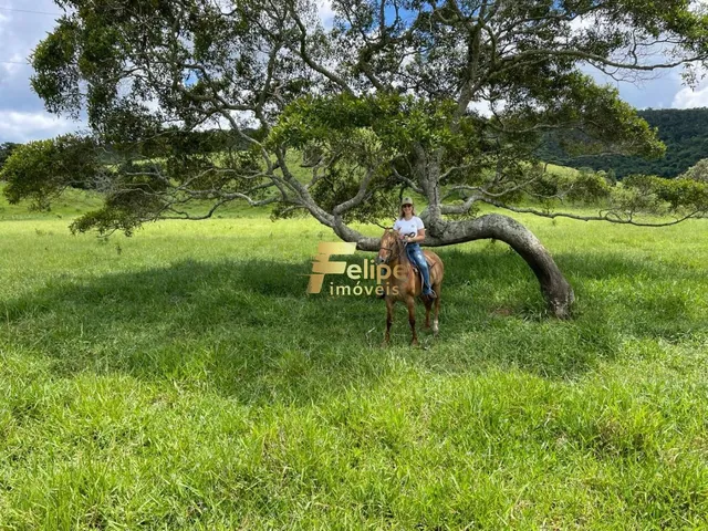 Imagem 2: Excelente Fazenda com 272 Alqueires, À Venda em Almenara/Mg