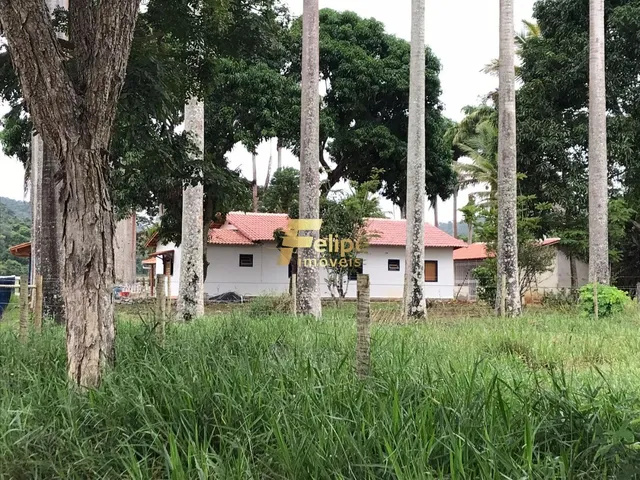 Imagem 3: Excelente Fazenda com 272 Alqueires, À Venda em Almenara/Mg