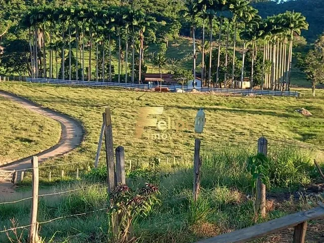 Imagem 7: Excelente Fazenda com 272 Alqueires, À Venda em Almenara/Mg