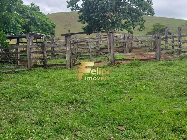 Imagem 8: Excelente Fazenda para Plantação de Café, Cacau e Gado, Água por Gravidade, À Venda em Itanhém/Ba