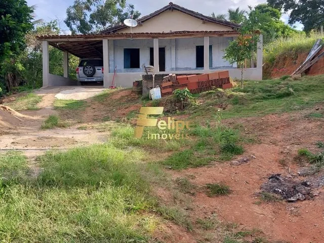 Imagem 6: Excelente Fazenda para Plantação de Café, Cacau e Gado, Água por Gravidade, À Venda em Itanhém/Ba