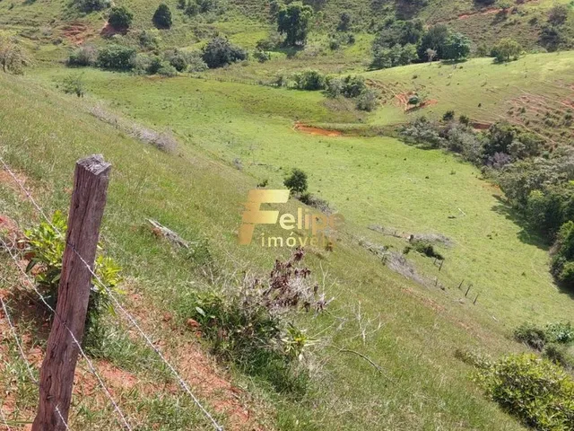 Imagem 4: Excelente Fazenda para Plantação de Café, Cacau e Gado, Água por Gravidade, À Venda em Itanhém/Ba
