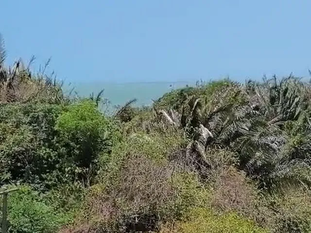 Imagem 12: Apartamento para Locação na Ponta do Farol 100 Metros 3 Quartos no Caribean Resi