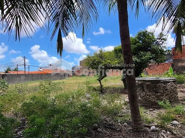 Imagem 5: Terreno a Venda no Henrique Jorge em Fortaleza/Ce