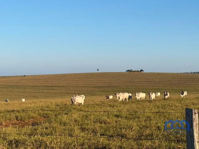 Imagem: Sítio/Fazenda À Venda, 560,62 Alqueires