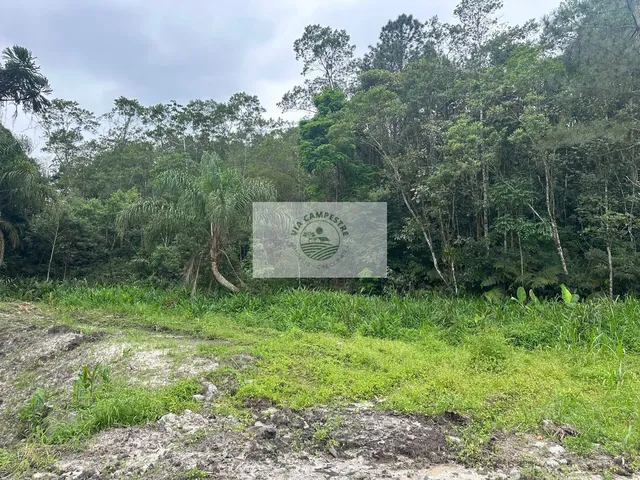 Imagem 9: Area Rural com 20.090,00 M2 no Bairro Rio Bonito, com Lago, Nascente, Perto do Asfalto