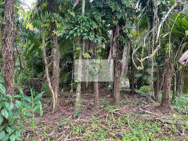 Imagem 2: Area Rural com 20.090,00 M2 no Bairro Rio Bonito, com Lago, Nascente, Perto do Asfalto