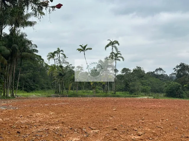 Imagem 12: Area Rural com 20.090,00 M2 no Bairro Rio Bonito, com Lago, Nascente, Perto do Asfalto