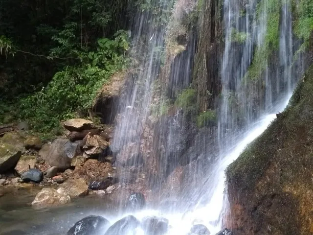 Imagem: Chácara À Venda em Joinville-Sc, 6 Quartos