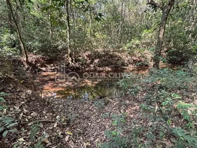 Imagem 11: Chácara na Linha das Águas a Venda com 3 Suítes a 20 Km de Passos