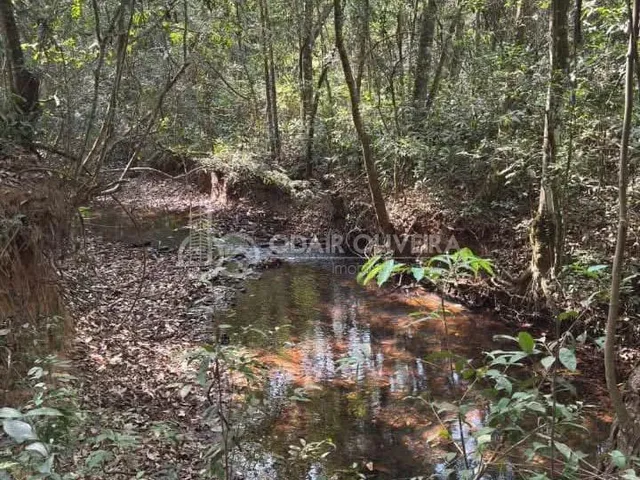 Imagem 14: Chácara na Linha das Águas a Venda com 3 Suítes a 20 Km de Passos