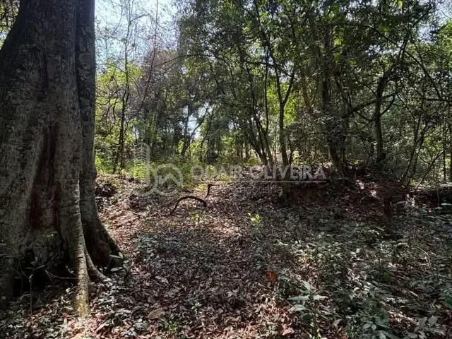 Imagem 15: Chácara na Linha das Águas a Venda com 3 Suítes a 20 Km de Passos