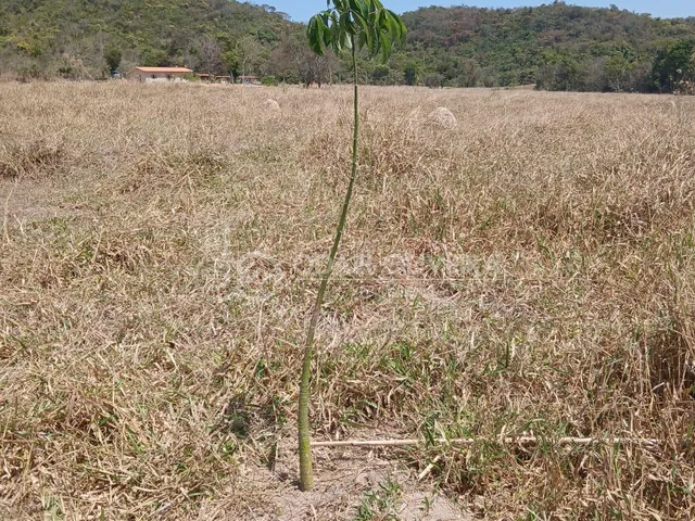 Imagem 2: Terreno À Venda na Região das Águas Zona Rural de Passos/Mg