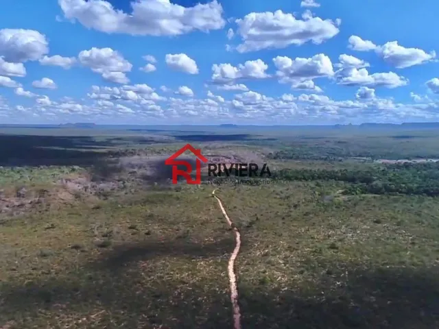 Imagem: Fazenda À Venda 1.792 Hectares Alto Parnaíba-Ma