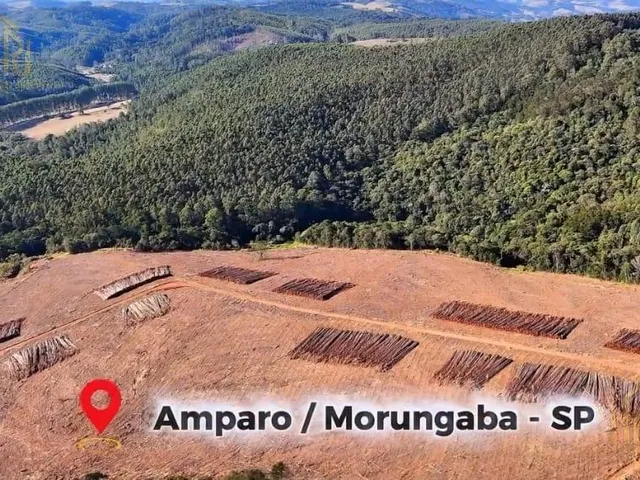 Imagem: Área no Bairro das Onças - Amparo - Sp