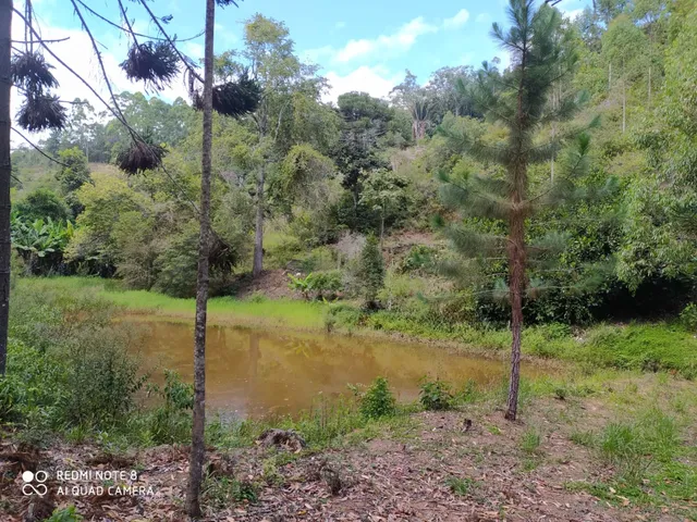 Imagem: Area Rural em santa Teresa - Es, Aparecidinha