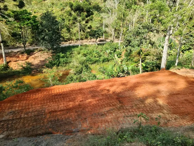 Imagem 3: Area Rural em santa Teresa - Es, Aparecidinha