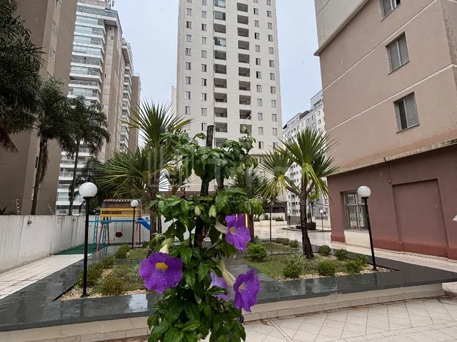 Imagem 3: Parque Industrial - Vista Livre e Sol da Manhã!