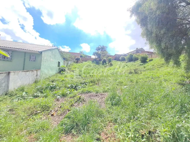 Imagem 6: Terreno À Venda, no Bairro Nova Rússia, Ponta Grossa - Pr