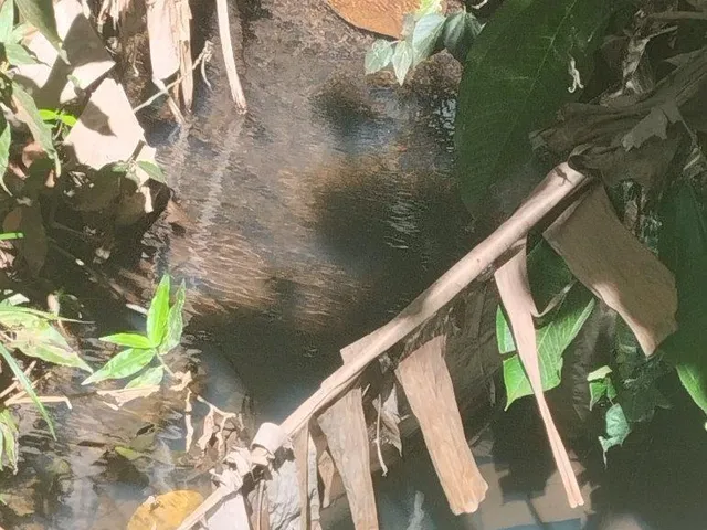 Imagem 6: Estate em Jaboticatubas - Minas Gerais, Centro