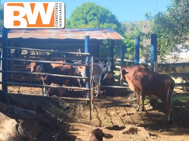 Imagem 7: Estate em Jaboticatubas - Minas Gerais, Centro
