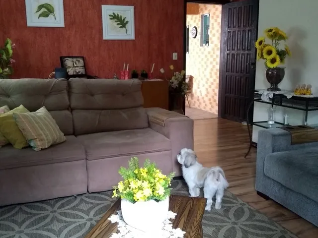 Imagem 11: Casa - Itoupava Seca - Blumenau