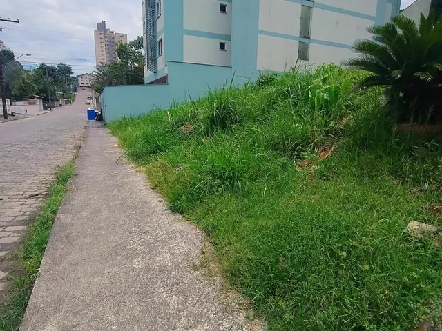 Imagem 3: Lote/Terreno - Vila Nova - Blumenau