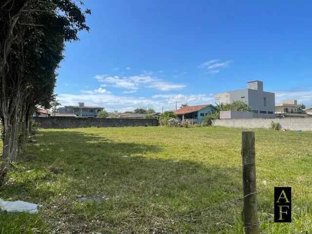 Imagem 3: Terreno no Campo Duna