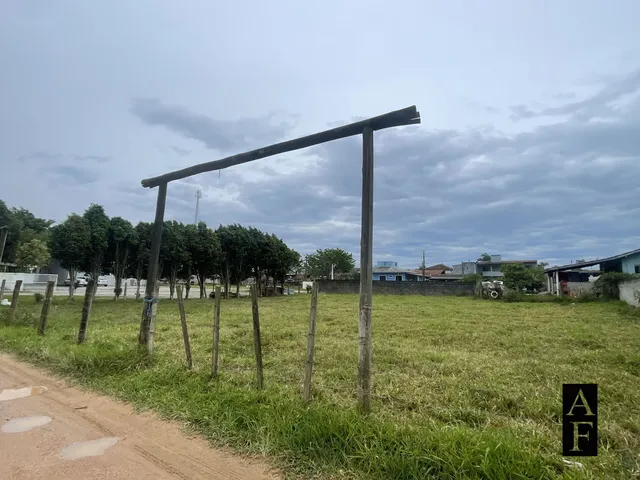 Imagem 6: Terreno no Campo Duna